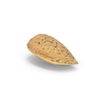 Almond Nut In Shell PNG & PSD Images