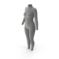Women Grey Bodysuit PNG & PSD Images