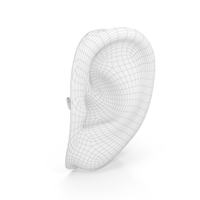 Human Left Ear Wireframe PNG & PSD Images