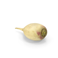 White Radish PNG & PSD Images