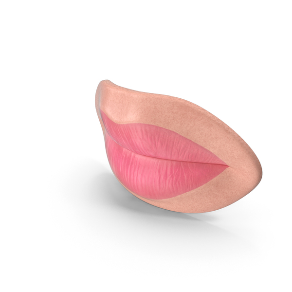 Woman Lips Pink PNG & PSD Images
