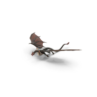Fantasy Elf Princess Riding Dragon With Fur PNG & PSD Images