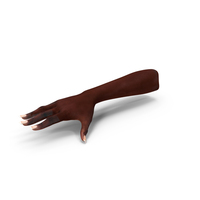 Realistic African American Arm And Hand PNG & PSD Images