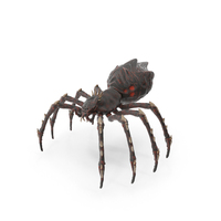 Spider Warrior PNG & PSD Images