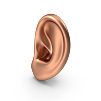 Human Left Ear Copper PNG & PSD Images