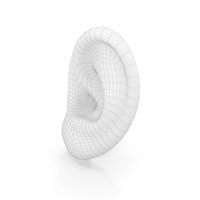 Human Left Ear Wireframe PNG & PSD Images