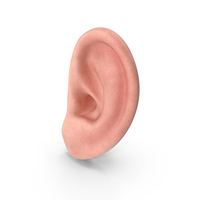 Human Left Ear PNG & PSD Images