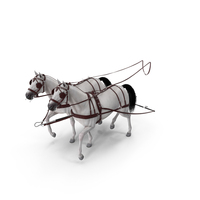 Pair Of White Breast Collar Harness Walking Pose PNG & PSD Images