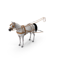 White Horse Single Driving Harness PNG & PSD Images