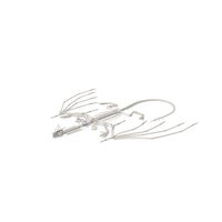 Dragon Skeleton In Unfolded State PNG & PSD Images