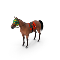 Bay Racehorse PNG & PSD Images