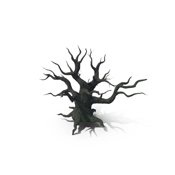 Dead Tree Without Leaves PNG & PSD Images