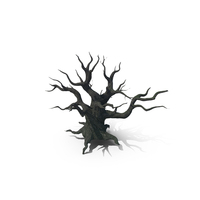 Dead Tree Without Leaves PNG & PSD Images