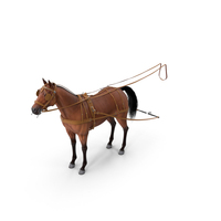 Horse Leather Single Driving Harness PNG & PSD Images