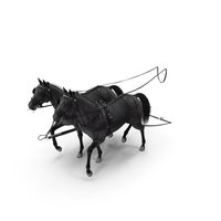 Pair of Black Breast Collar Harness Walking Pose PNG & PSD Images
