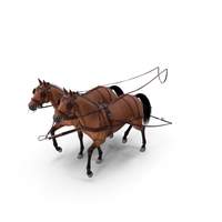 Pair of Breast Collar Harness Walking Pose PNG & PSD Images