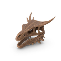 Petrified Dragon Skull PNG & PSD Images