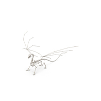 Dragon Skeleton PNG & PSD Images