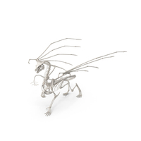 Dragon Skeleton Posed PNG & PSD Images