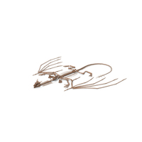 Fossilized Dragon Skeleton In Unfolded State PNG & PSD Images
