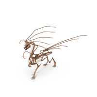 Petrified Dragon Skeleton Posed PNG & PSD Images