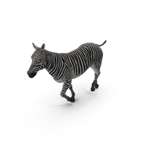 Striped Equine Running PNG & PSD Images