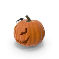 Carved Pumpkin With Black Widow Spider PNG & PSD Images