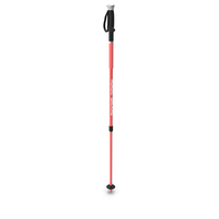 Nordic Walking Stick PNG & PSD Images