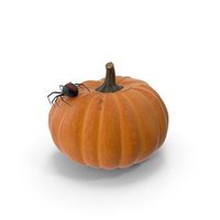 Pumpkin With Spider For Halloween PNG & PSD Images