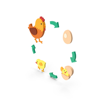Life Cycle Of The Chicken Stylized PNG & PSD Images