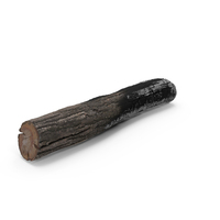 Charred Wooden Log PNG & PSD Images