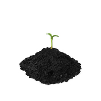 Seedling And Soil PNG & PSD Images