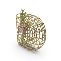 Flowers In Cage Letter D PNG & PSD Images
