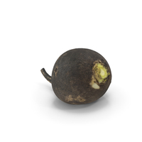 Black Radish PNG & PSD Images