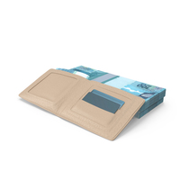 Leather Wallet Bill Brazil 100 Reais Money Bills PNG & PSD Images