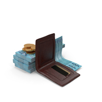 Wallet Open Brazil 100 Reais Money Bills Gold Coins PNG & PSD Images
