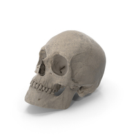 Old Scull PNG & PSD Images
