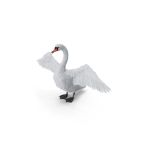 White Swan PNG & PSD Images