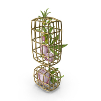 Peonies in Cage Exclamation PNG & PSD Images