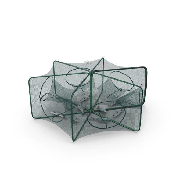 Mesh Fishing Trap with Fish Inside PNG & PSD Images