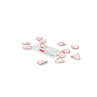 Pregnancy Test with Envelope and Rose Petals PNG & PSD Images
