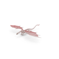 Flying Pose Dragon Skeleton in Transparent Shell PNG & PSD Images