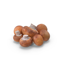 Heap of Brown Mushrooms PNG & PSD Images
