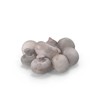Heap of White Mushrooms PNG & PSD Images