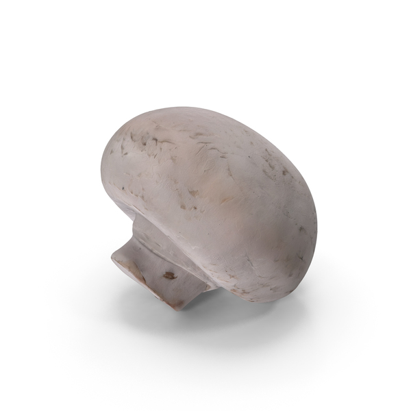 White Portobello Mushroom PNG & PSD Images