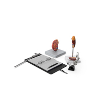 Anatomical Model Study with Measurement Instruments PNG & PSD Images