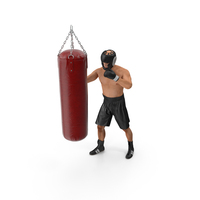 Boxer Training with Punching Bag PNG & PSD Images