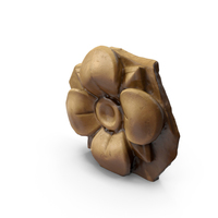 Rosette PNG & PSD Images