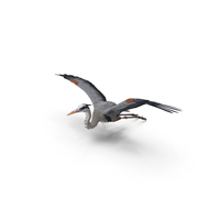 Flying Heron PNG & PSD Images