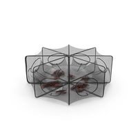Hexagonal Lobster Net Trap And Live Lobsters PNG & PSD Images